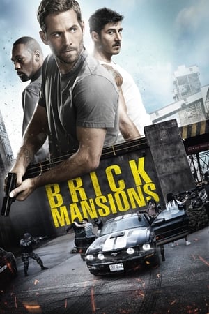 Brick Mansions (2014) Dual Audio | Hindi Full Movie BluRay [950MB]