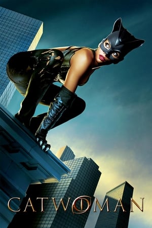 Catwoman (2004) Dual Audio | Hindi Full Movie BDRip 400MB