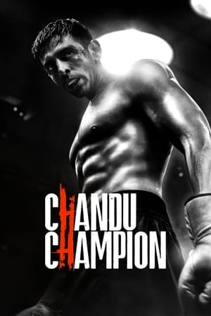 Chandu Champion 2024 HDRip | Hindi Full Movie – 480p – 1080p