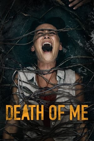 Death of Me (2020) Dual Audio | Hindi Full Movie HDRip 300MB