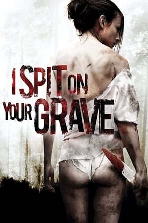 I Spit on Your Grave 2010 Dual Audio | Hindi Full Movie BluRay 330MB