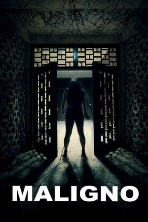 Maligno (2016) Dual Audio | Hindi Full Movie Web-DL [1.2GB]