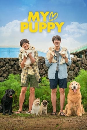 My Heart Puppy (2022) Dual Audio HDRip | Hindi Full Movie – 480p