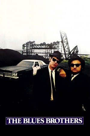 The Blues Brothers (1980) Dual Audio | Hindi Full Movie BluRay 450MB ESubs