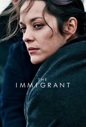 The Immigrant (2013) Dual Audio | Hindi Full Movie BluRay [880MB]