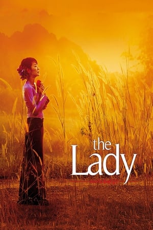 The Lady 2011 Dual Audio | Hindi Full Movie Bluray 400MB