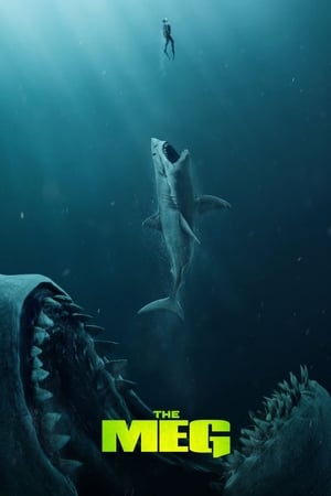 The Meg (2018) (Org) Dual Audio | Hindi Full Movie BluRay [1.1GB]