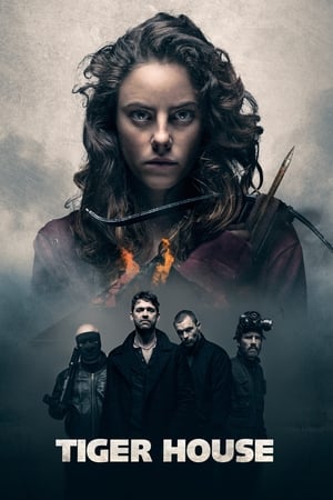 Tiger House (2015) Dual Audio | Hindi Full Movie BluRay [1.2GB]