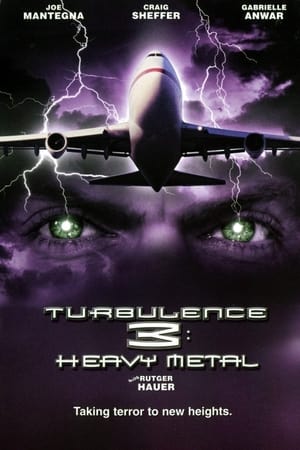 Turbulence 3 Heavy Metal 2001 Dual Audio | Hindi Full Movie Web-DL 300MB