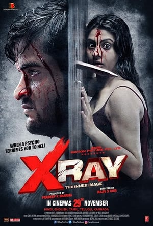 X Ray The Inner Image 2019 Movie | Hindi Full Movie HDRip x264 [900MB]